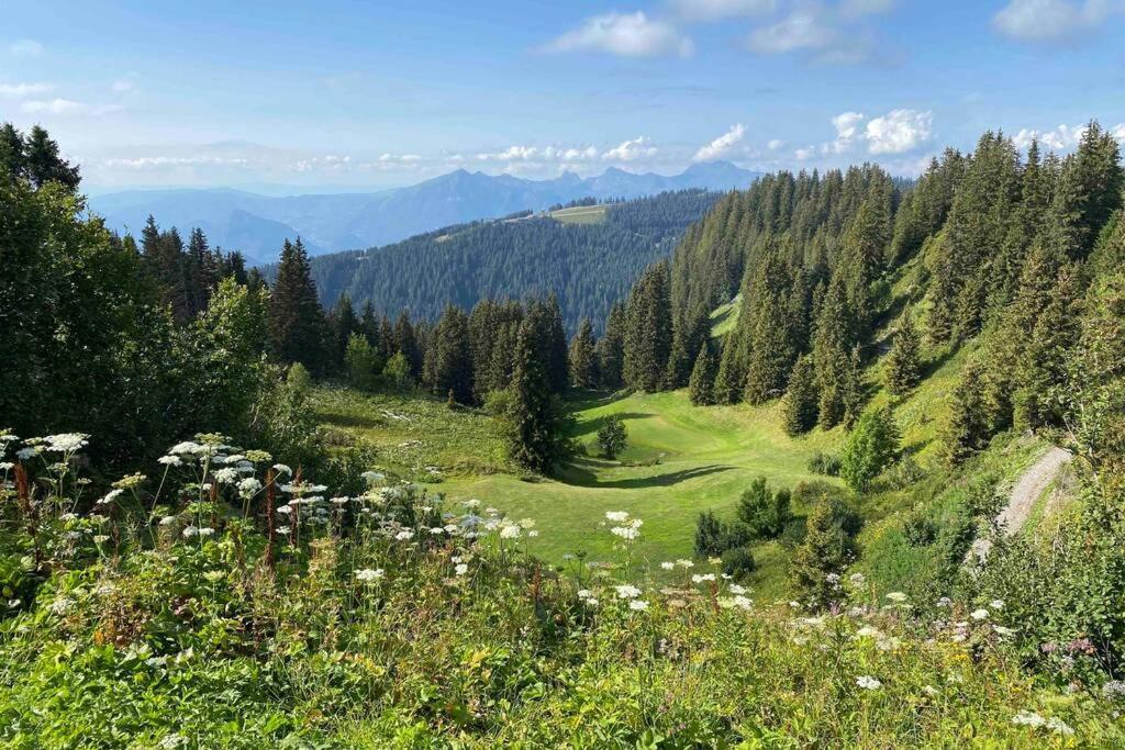 Vue Panoramique Sur Les Montagnes Plein Sud - T2 Skis Aux Pieds, Piscine & Spa Flaine Luaran gambar